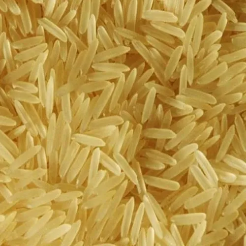 1121 golden rice